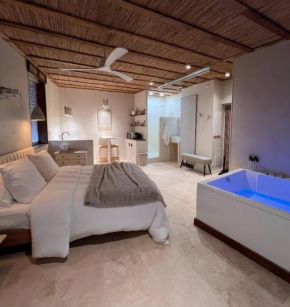 Loft Balneo
